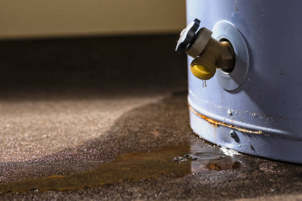 Best Water damage restoration insurance claims  in Sneads, FL