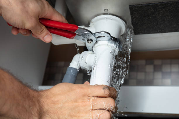 Best Ceiling water damage repair  in Sneads, FL