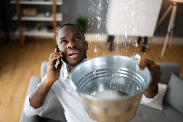 Best Emergency water damage restoration  in Sneads, FL