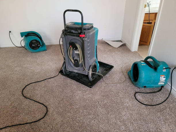 Best Fire Damage Restoration  in Sneads, FL