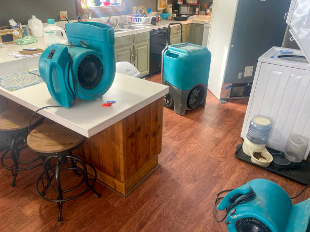 Best Professional water damage repair  in Sneads, FL