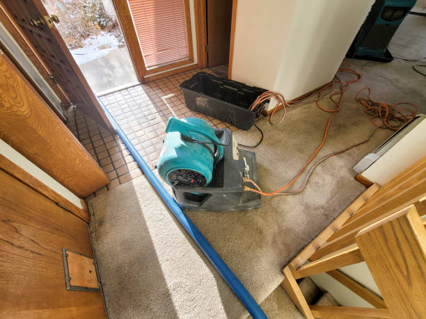 Best Flood damage cleanup  in Sneads, FL