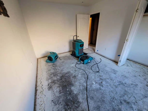 Best Emergency water extraction  in Sneads, FL