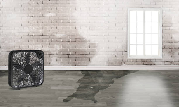 Best Residential water damage restoration  in Sneads, FL
