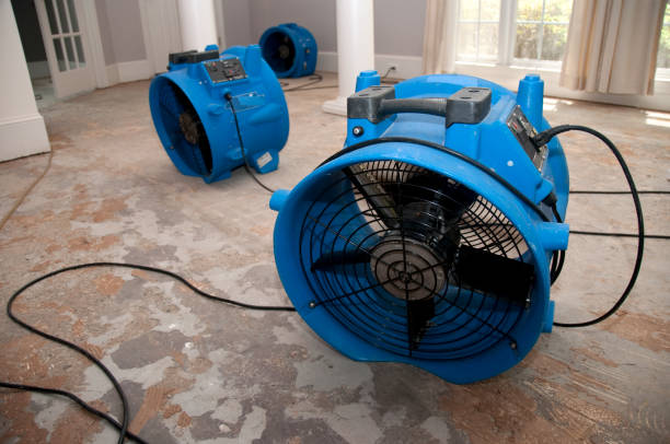 Best Emergency water damage restoration  in Sneads, FL