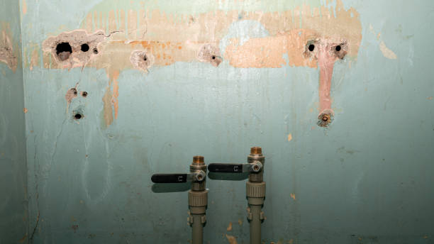 Best Sewage cleanup and water damage restoration  in Sneads, FL