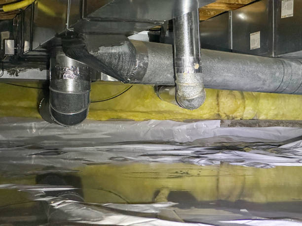 Best Local water damage restoration  in Sneads, FL