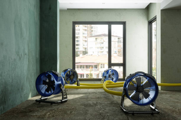 Best Water damage restoration near me  in Sneads, FL