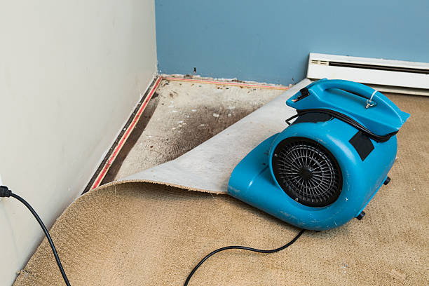 Water damage restoration insurance claims in FL